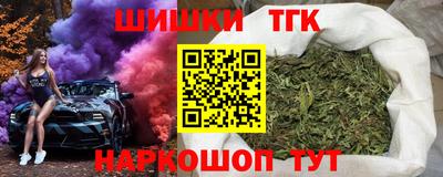 МДПВ Гатчина