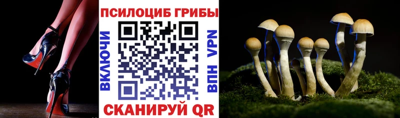Галлюциногенные грибы Magic Shrooms  где можно купить   mega tor  Коммунар 