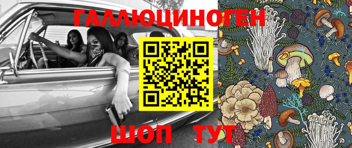 Псилоцибиновые грибы Cubensis  Вход с VPN  Коммунар 