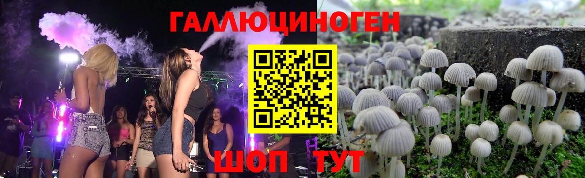 Псилоцибиновые грибы Psilocybine cubensis  Коммунар  Галлюциногенные грибы GOLDEN TEACHER 